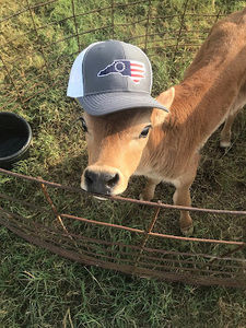 Meet your Posher, Gina